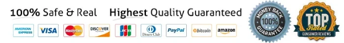 Trusted payment options for TikTok comments including Visa, PayPal, Bitcoin, and quality assurance badges